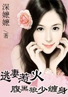 逃妻惹火：腹黑狼少纏身